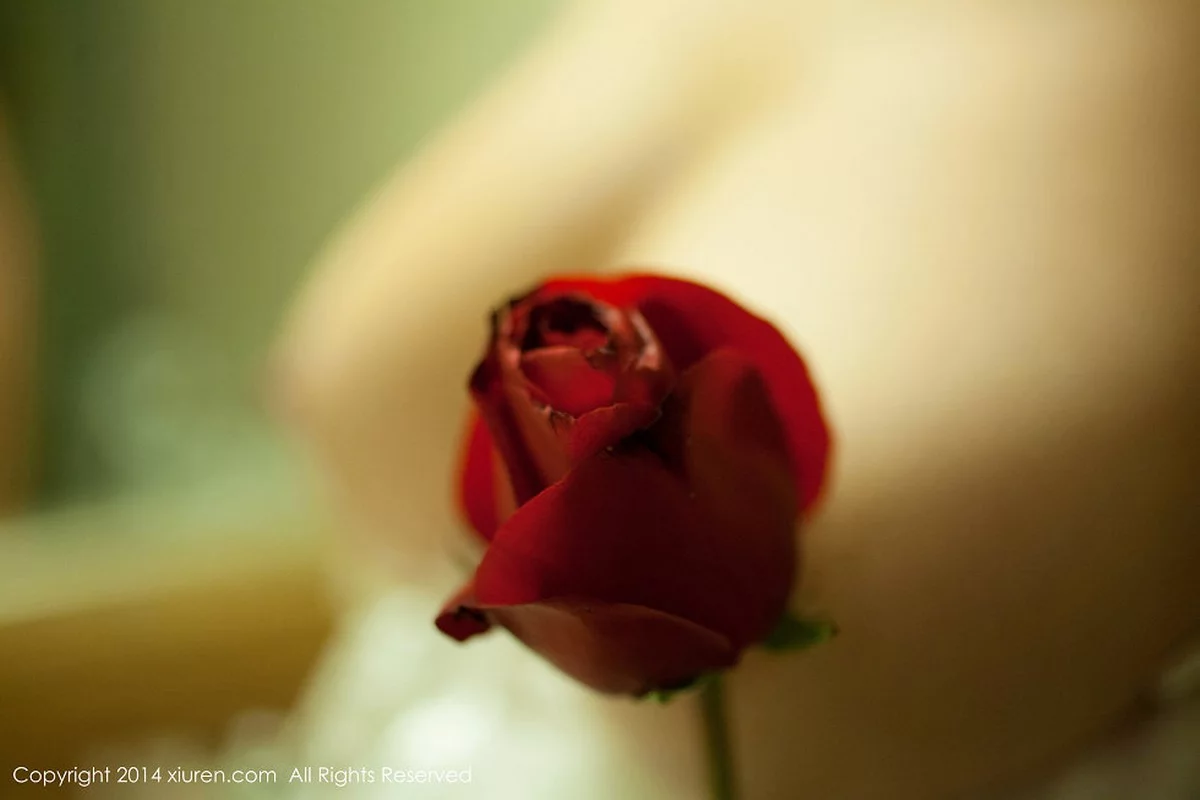 Xrmnw.Vip_杨依_写真