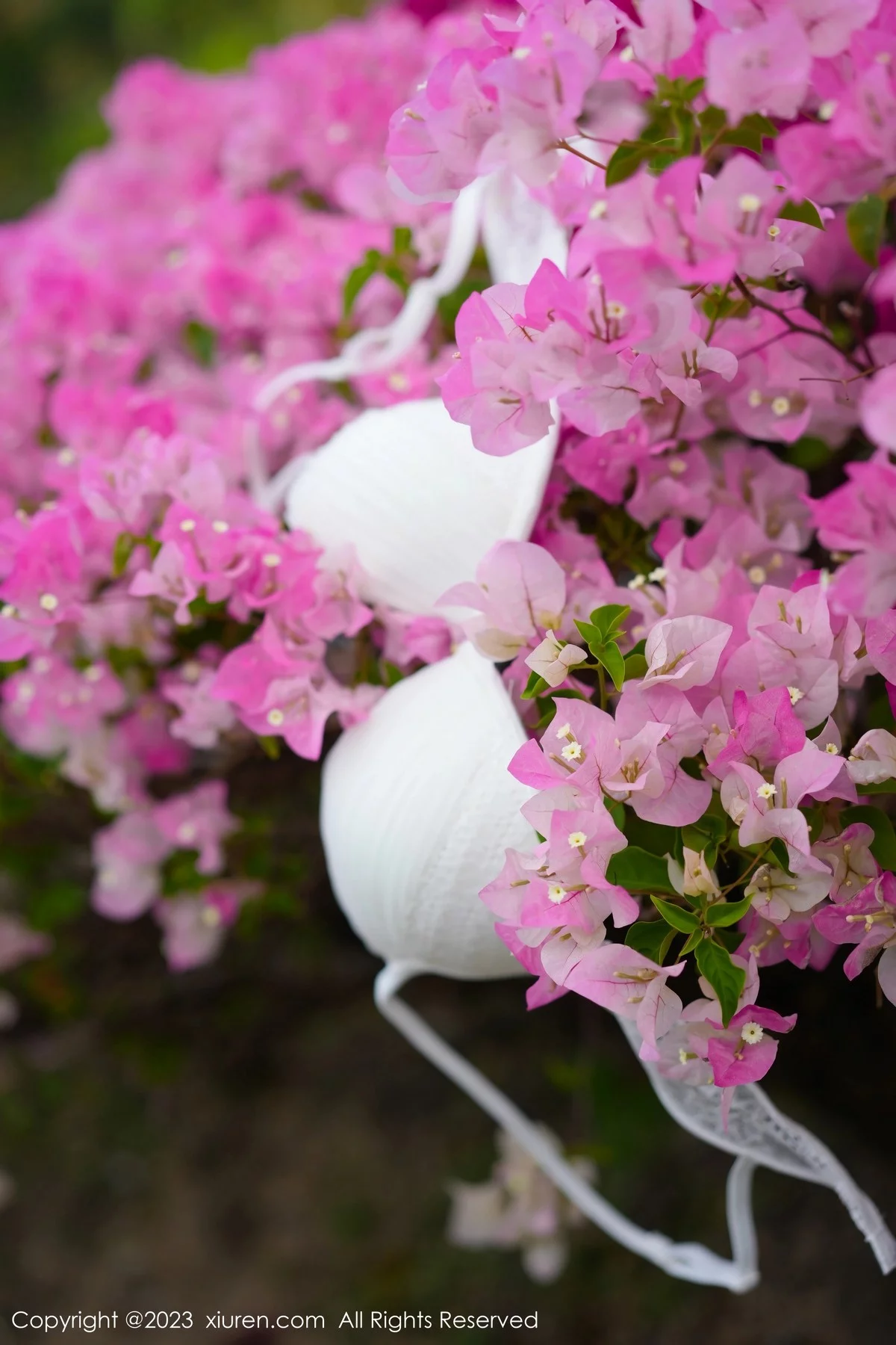 Xrmnw.Vip_阿姣_写真